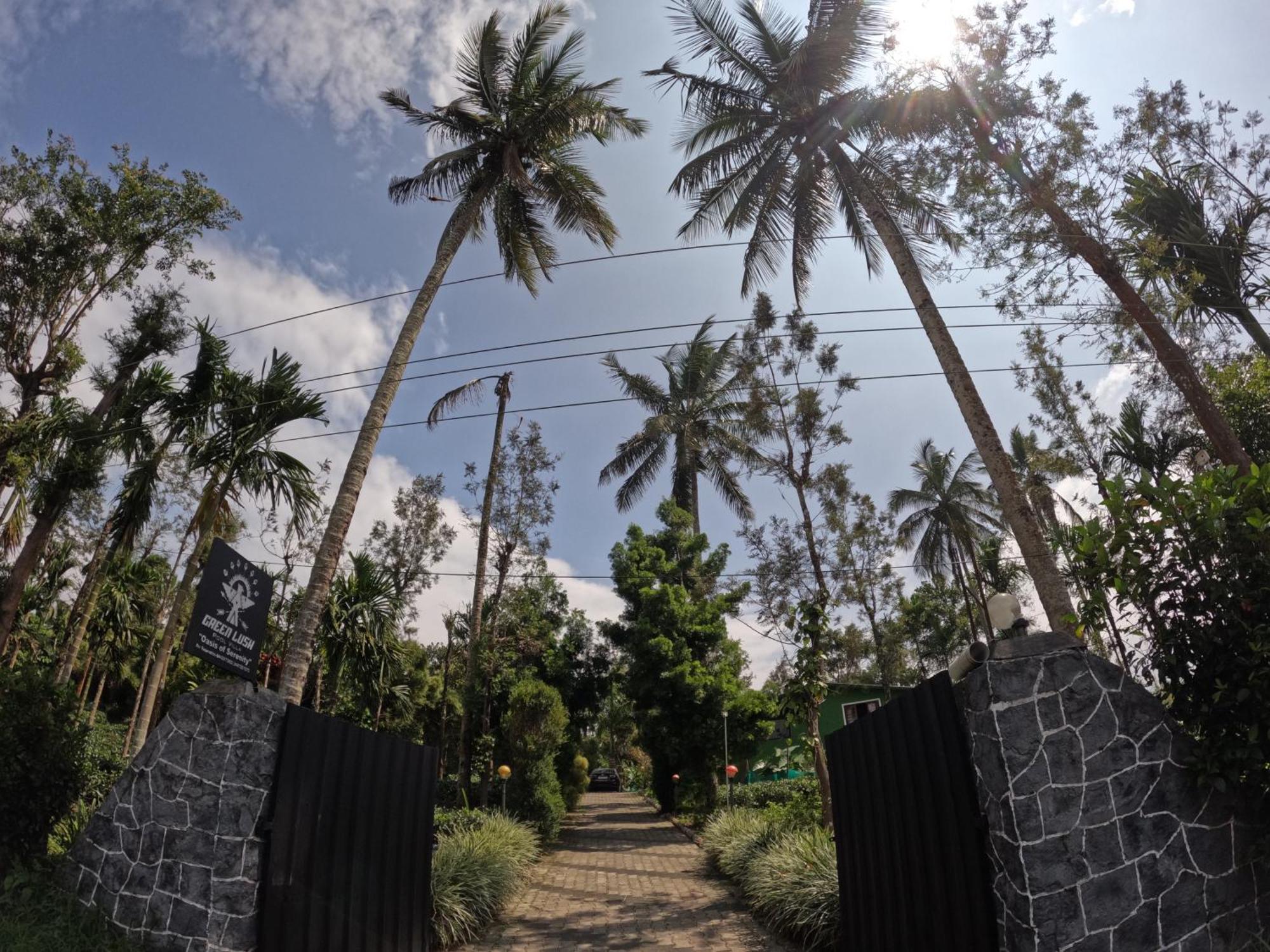 Green Lush Pool Villa Mudumalai Exterior photo